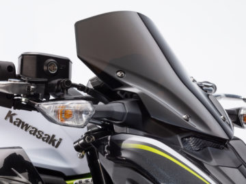 Kawasaki Z900 Performance 2019